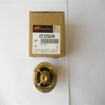 Genuine 22195820 Ingersoll Rand Thermal Element Reliable Chinese Supplier