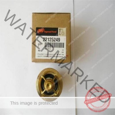 Genuine 22195820 Ingersoll Rand Thermal Element Reliable Chinese Supplier