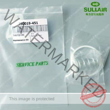 Reliable China Supplier for Sullair Genuine Spare Part Intake Valve Repair Kit