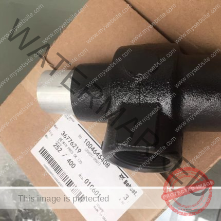 36776219 Ingersoll Rand Genuine Original Minimum Pressure Valve China Supplier