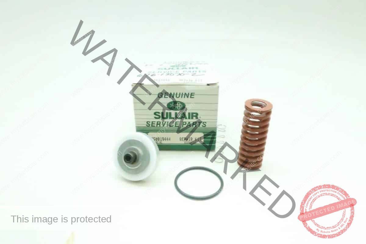 Genuine Sullair 250019-444 Minimum Pressure Check Valve Repair Kit