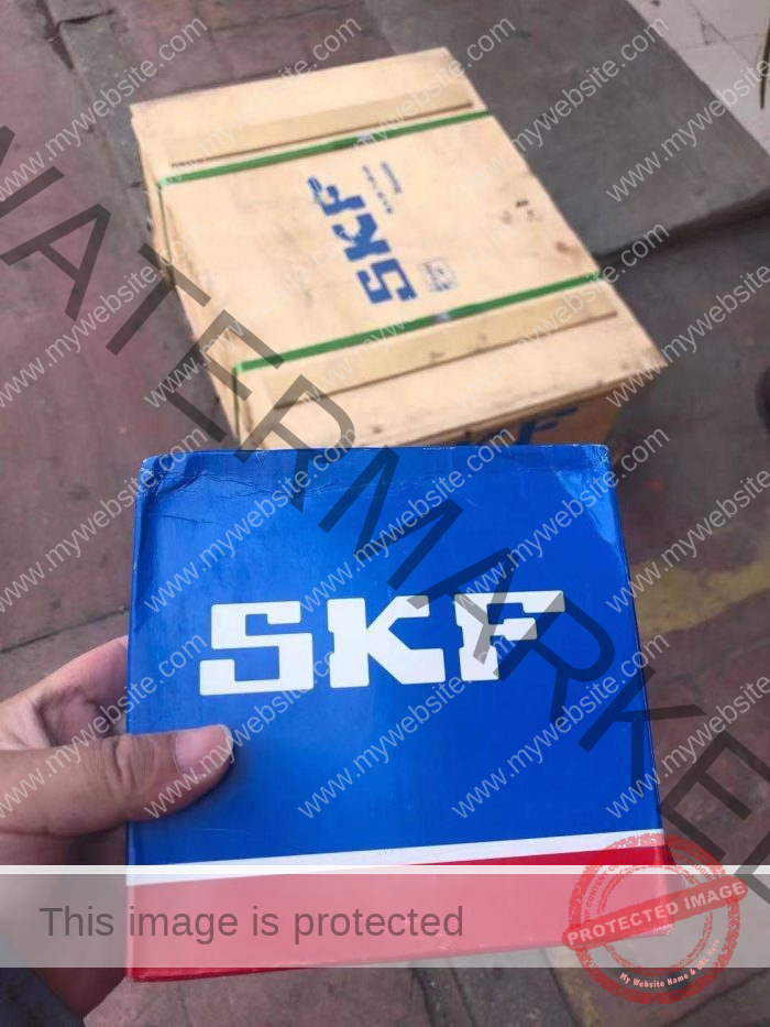 SKF Package Germany geniune parts China seller