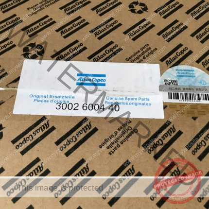 Atlas Copco Genuine Parts 3002600440 China Supplier