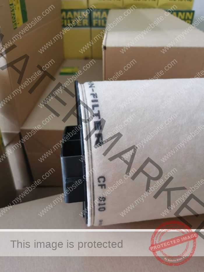 Genuine Mann Filter Seconary Element CF 810 China Supplier