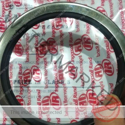 Ingersoll Rand Reliable China Supplier-Shaft Seal 89292445